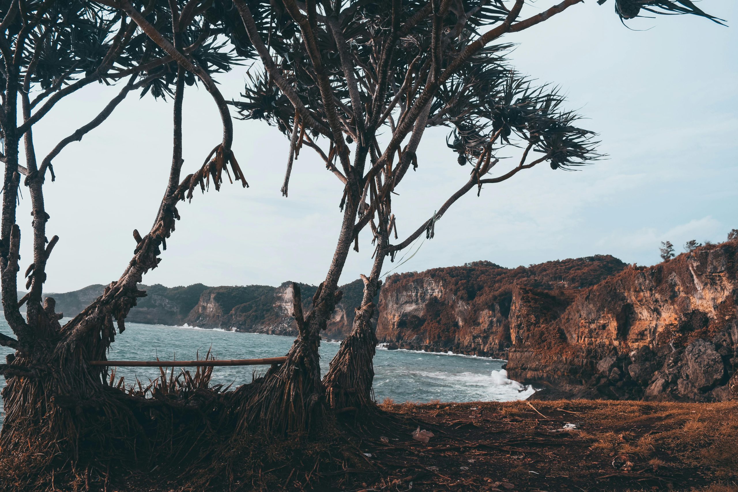 Idyllic coastal landscape in Jogja, Indonesia with unique rock formations and tropical trees framing the scene.